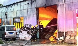 泉州丰泽爆料案件最新,揭秘背后惊人真相